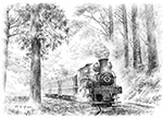 A Weight Bearing Journey_Alishan Forest Railway Shay No.31 負重載行